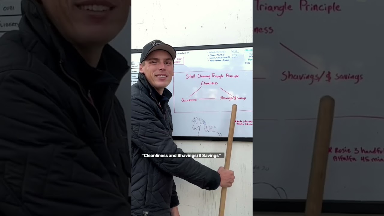 Evan&rsquo;s Stall Cleaning Triangle Principle - Cleanliness vs Money Savings vs Quickness #horsesandhumor