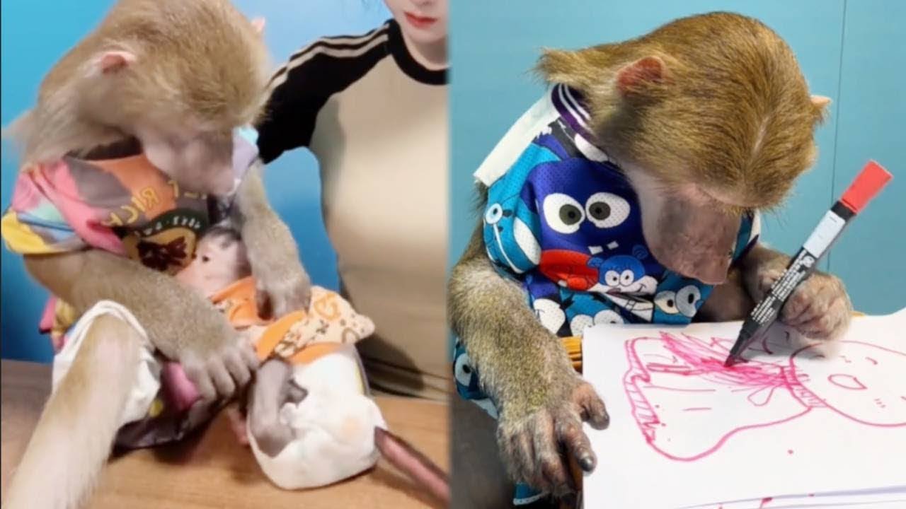 The baboon helps the little monkey put on clothes. Monkey has become a spirit#spiritmonkey