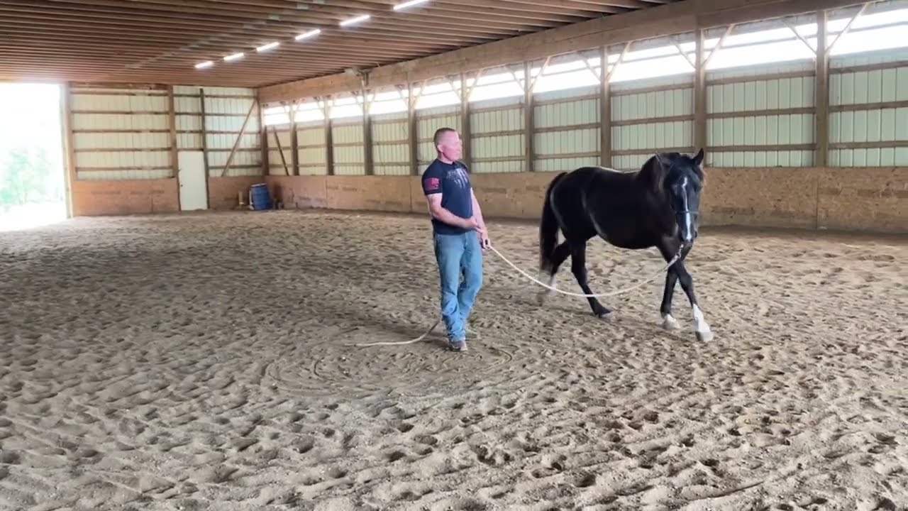 Don't focus on the canter to get your horse cantering! (Follow up to "you won't muscle this one").