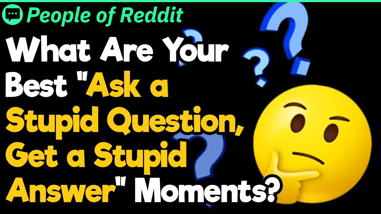 Ask a Stupid Question, Get a Stupid Answe | People Stories 