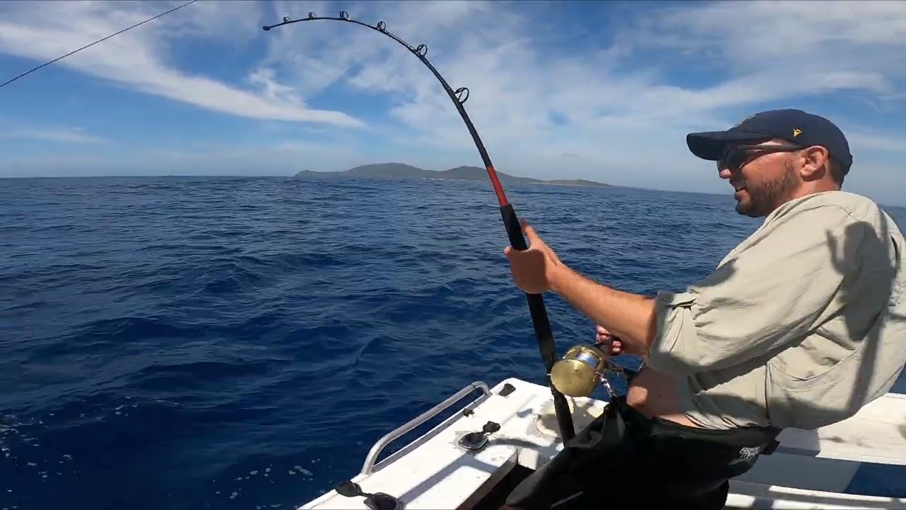 South West Rocks Black Marlin - 31-12-25