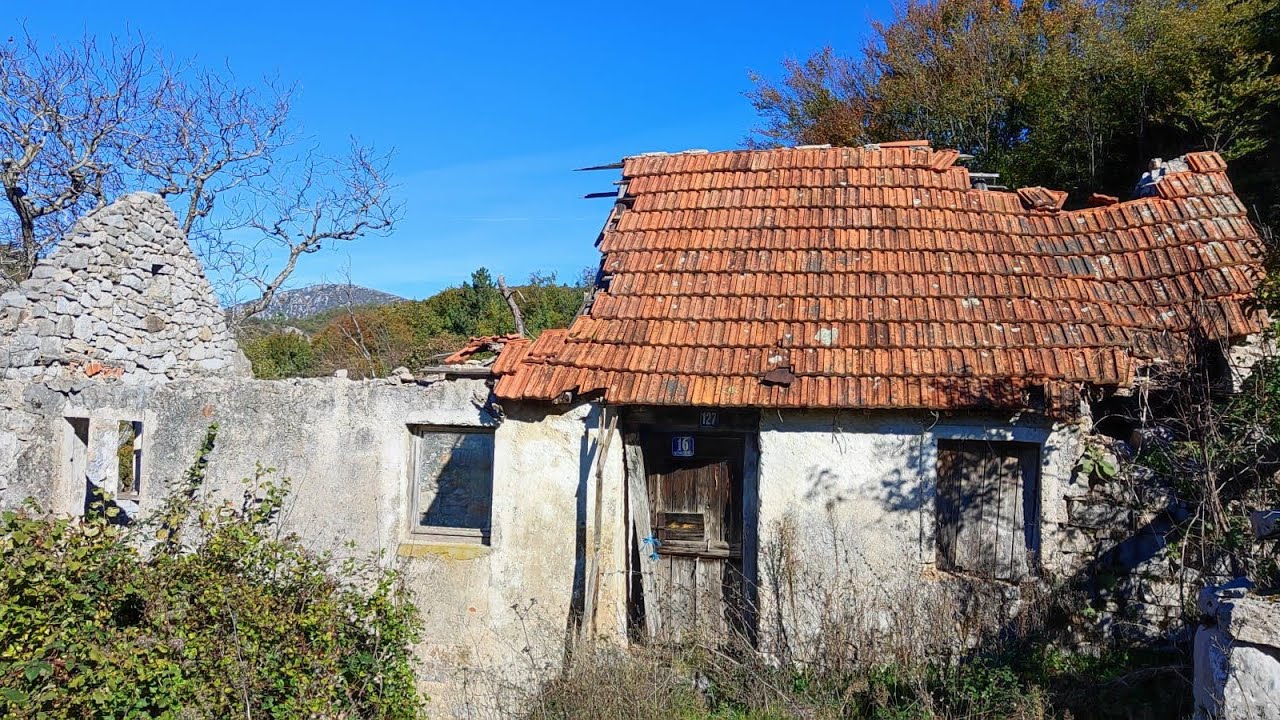 KUDA IDU DIVLJE SVINJE🐗 i MEDVJEDI🐻?!