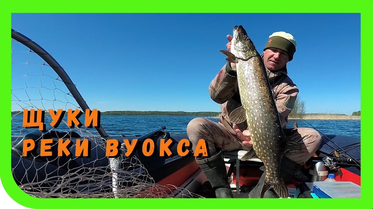 Ловля щуки на крупный силикон. Река Вуокса
