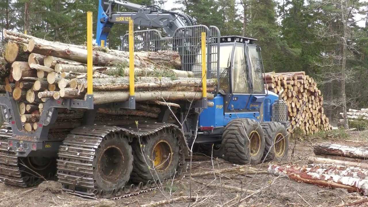 Rottne F15E forwarder munka közben