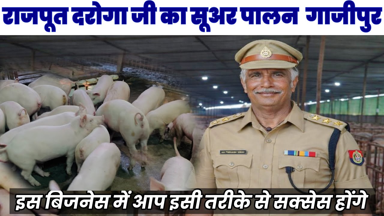“How a Sub-Inspector Earns Lakhs from a Pig Farm | 😱 #framing  #pig #trending #video