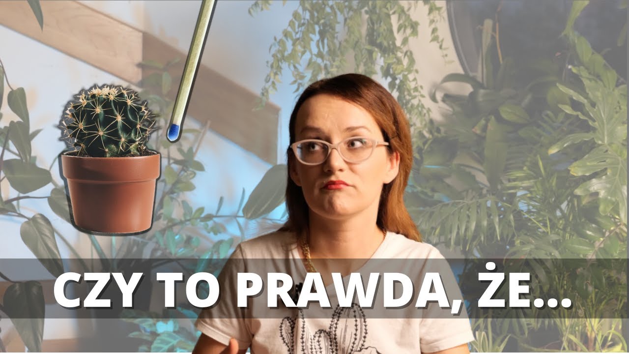 Czy to prawda, że... nikotyna zwalcza szkodniki, rośliny lepiej rosną gdy właściciel jest zdrowy #1