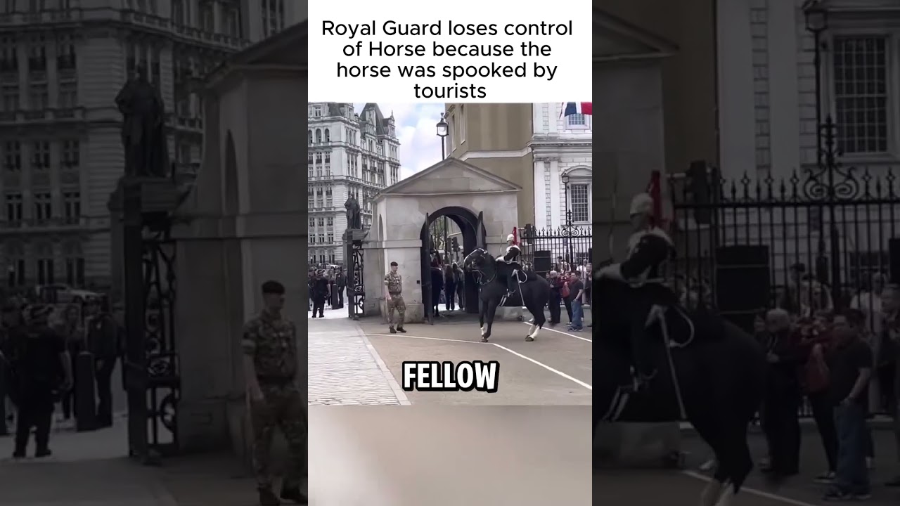Royal Guard Loses Control of Horse at Palace