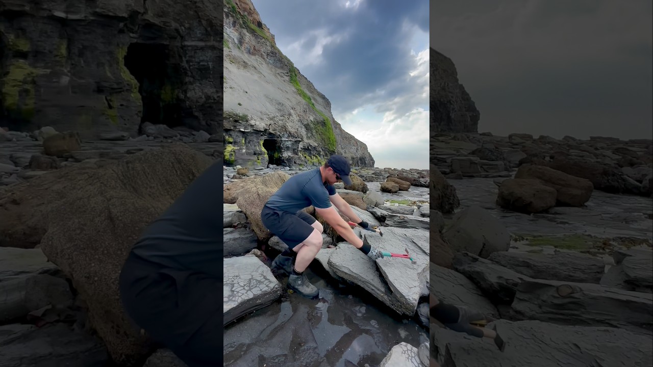 We went fossil hunting on a Jurassic Coast beach and searched for hidden treasures 😱