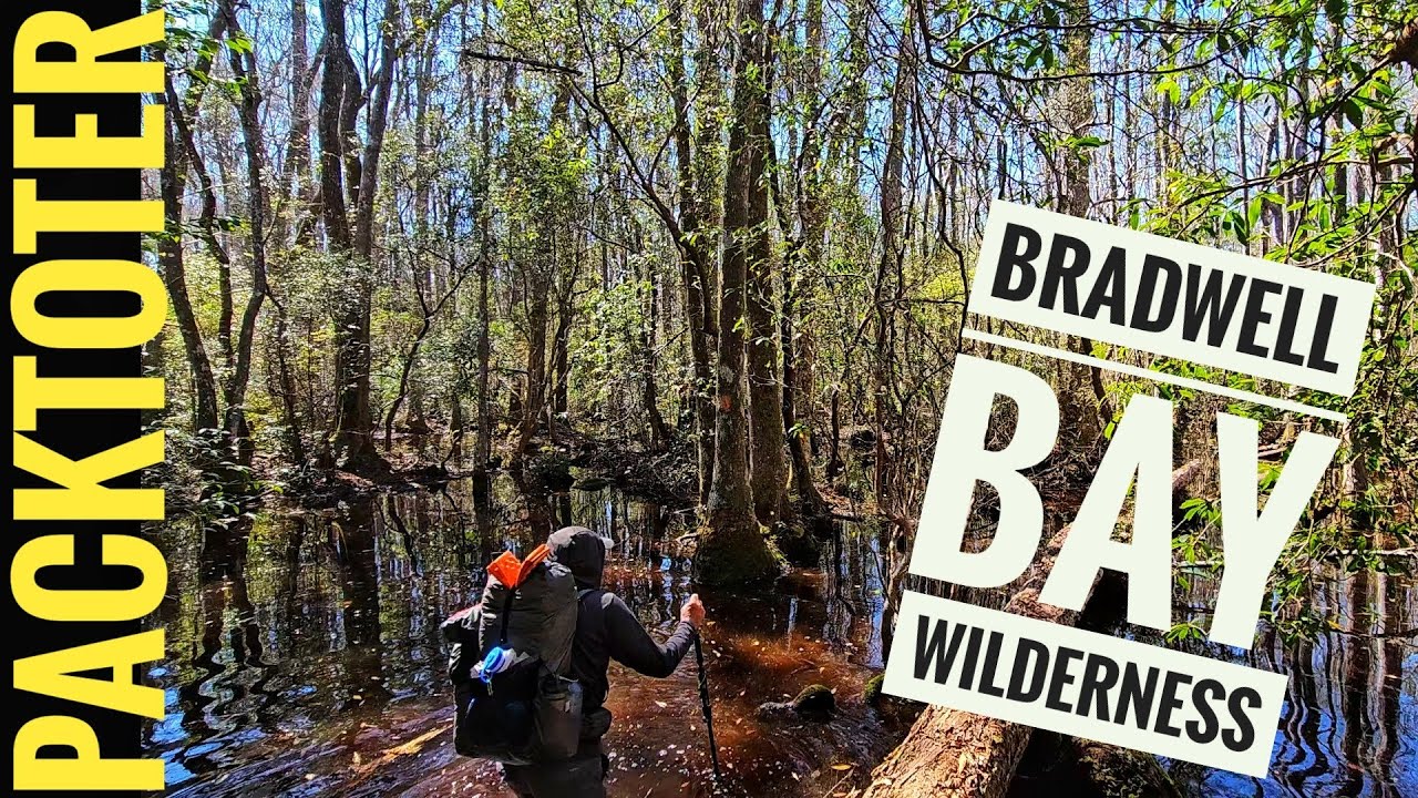 Florida Trail Bradwell Bay Wilderness