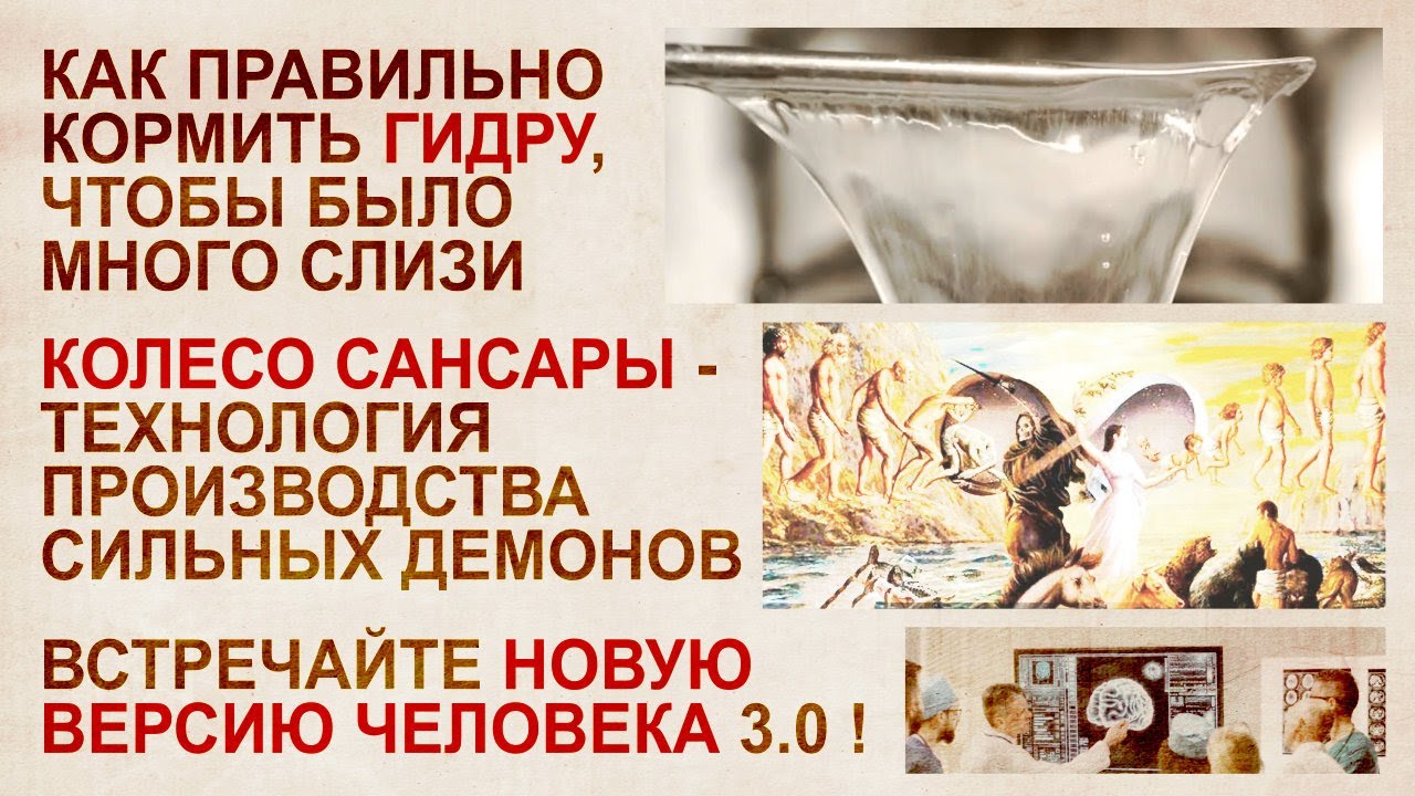 Артефакты от подписчиков 49. Гидра, лярвоведение