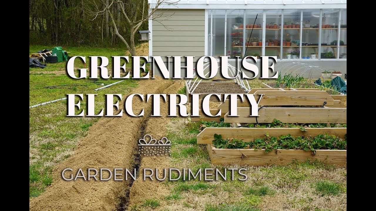 Greenhouse Electricity