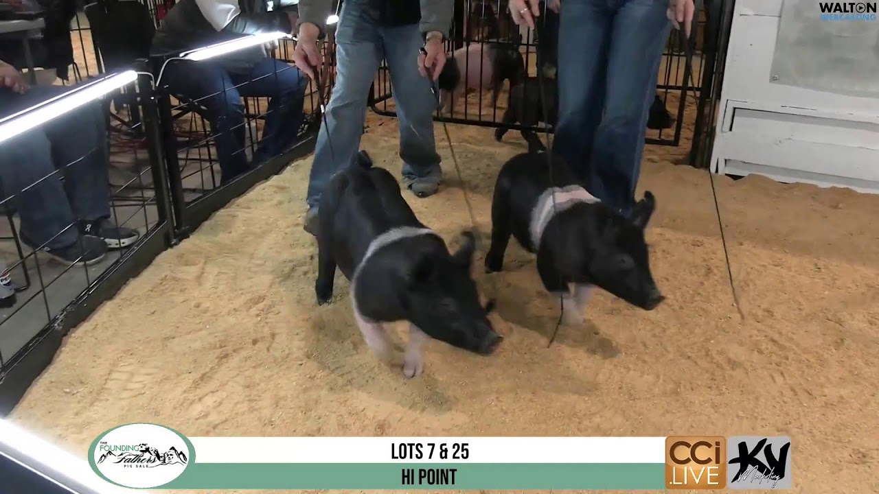 The Founding Fathers Pig Sale - Feb-15