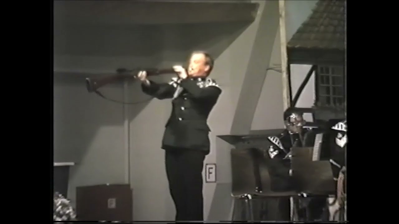 IBSV 1987 