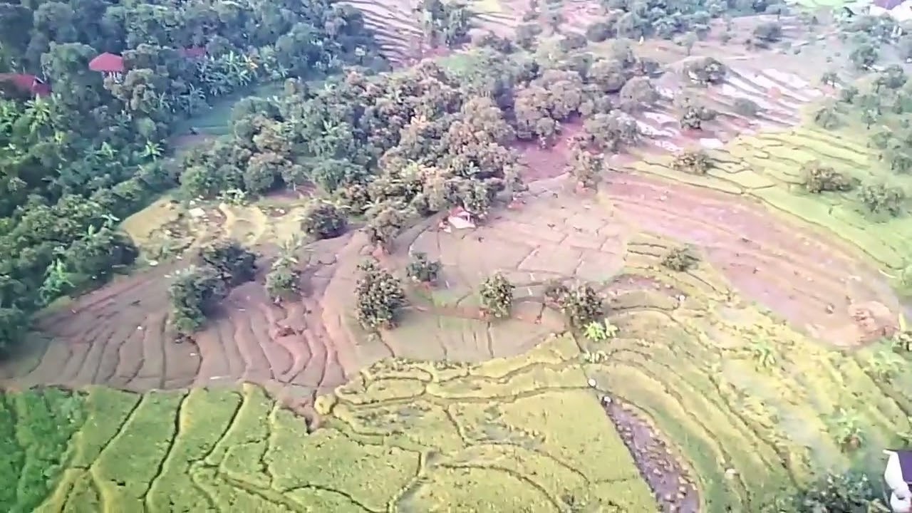 Pagi pagi nerbangkan dron lihat pemandangan 