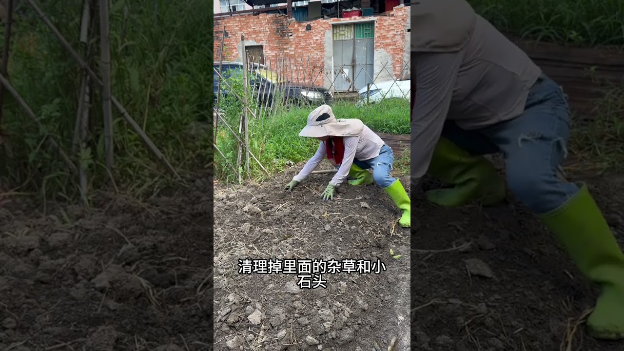 #家庭種植 秋播前整地養土#在家種菜 #種植小技巧 #田園生活