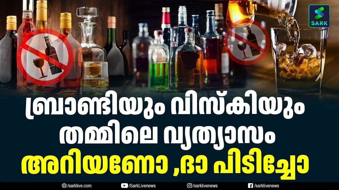 ബ്രാണ്ടിയും വിസ്കിയും തമ്മിലെ വ്യത്യാസം അറിയണോ ,ദാ പിടിച്ചോ alcohol