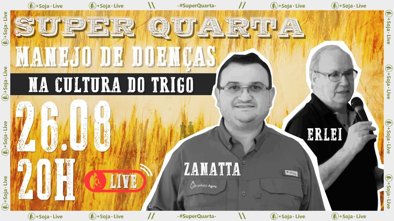 AO VIVO: Manejo de doenças em trigo
