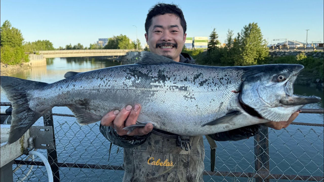 I Caught My First Ever King Salmon At Ship Creek |One Man’s Trash Is Another Man’s Treasure| #alaska
