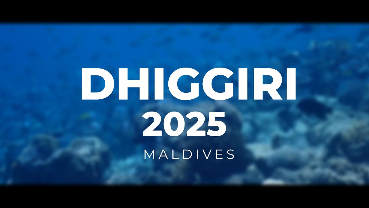 Dhigghiri 2025