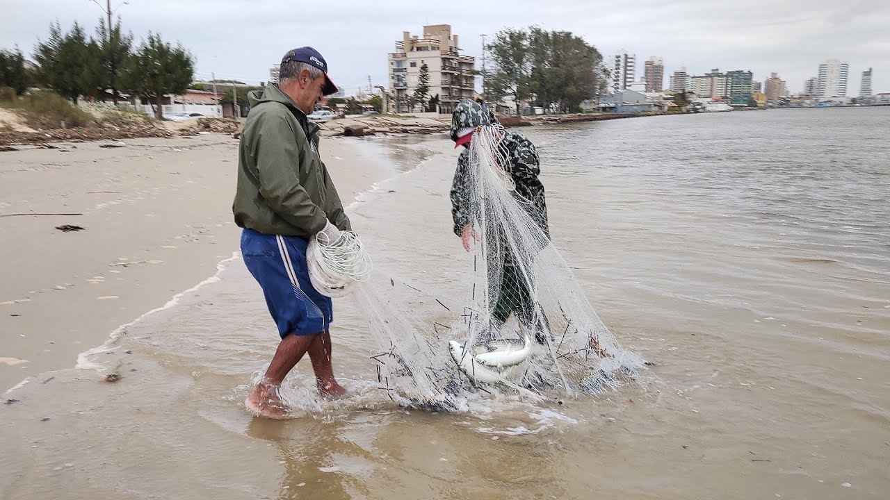BOAS TAINHAS, 07-08-23, PESCAS COM TARRAFAS, Barra de Tramandaí, RS. #pescas #tarrafas #tainhas