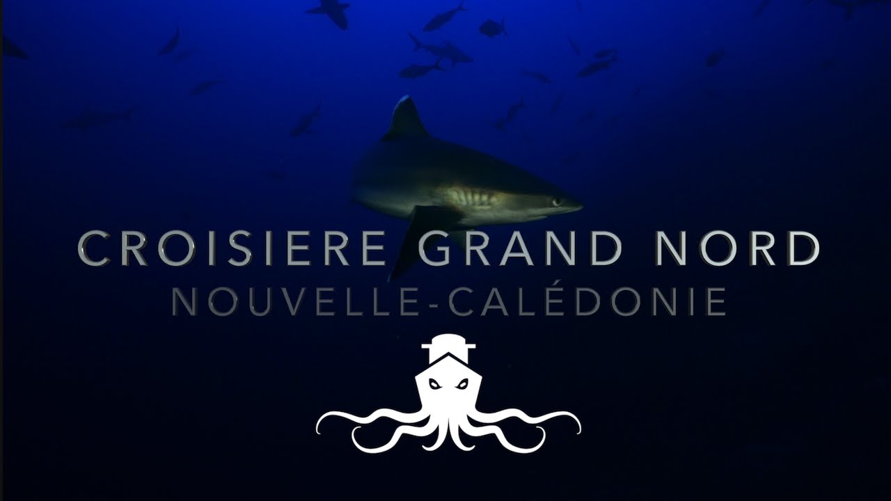 Croisière plongée 