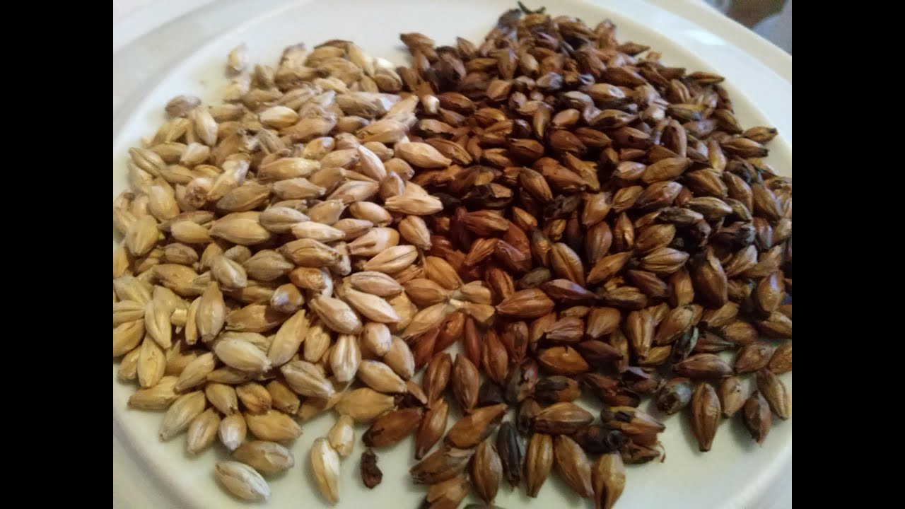 Malto speciale fatto in casa - Specialty malts homemade