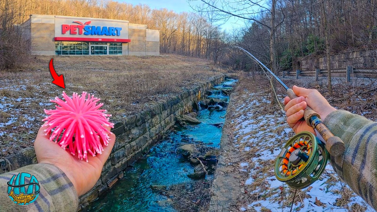 Fly Fishing for Trout... This Shouldn't Have Worked!! (Pet Store challenge)