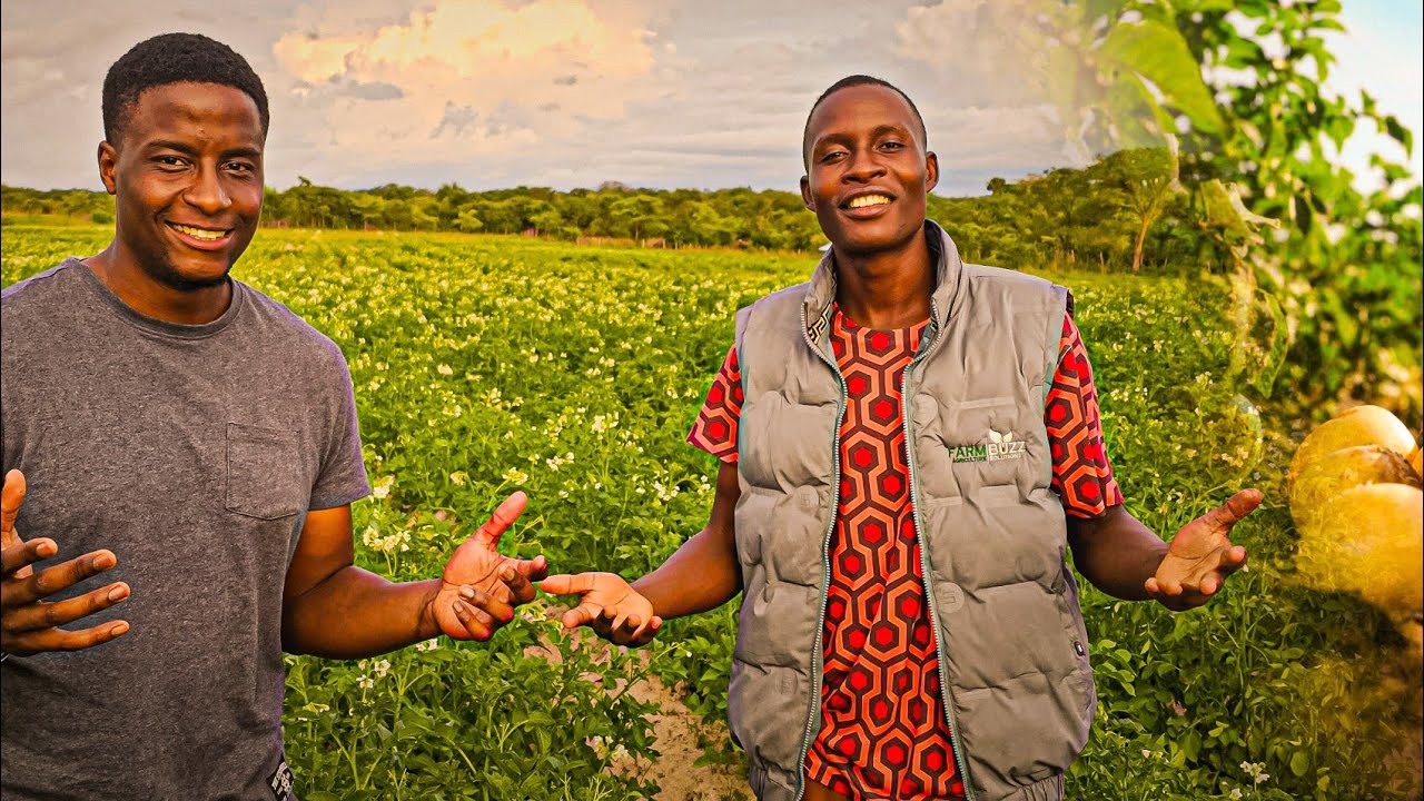He Left UK to Become a Potato Farmer in Zimbabwe Africa