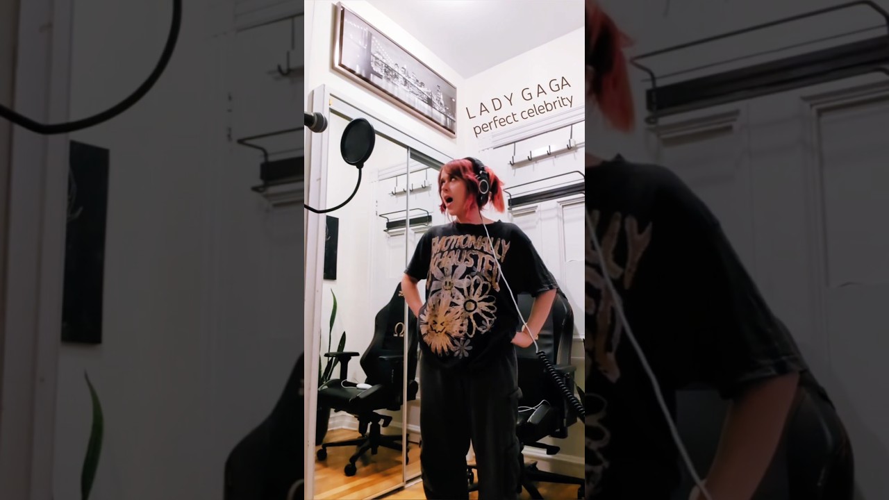 Perfect Celebrity - Lady Gaga (cover)