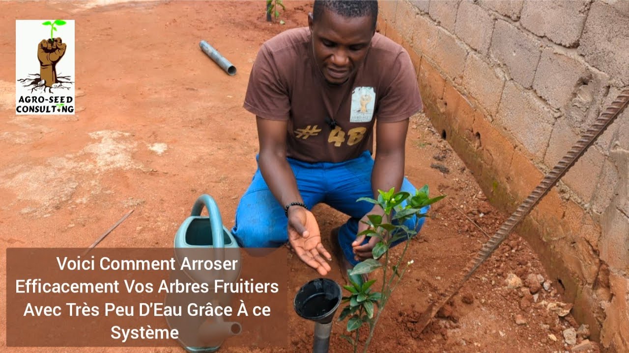 Voici Comment Arroser Efficacement Vos Arbres Fruitiers Avec Très Peu D'Eau Grâce À ce Système