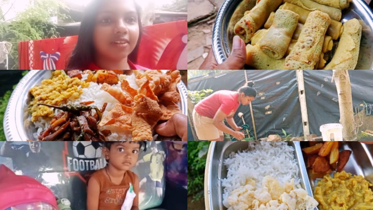 රැකියාවක් නොකරන 🧚‍♂️බිරිදක්‌  උන මම 🧚‍♂️වගකීම් එක්ක ගෙදරක ගෙවන ජීවිතය🧚‍♂️#dailyvlog#