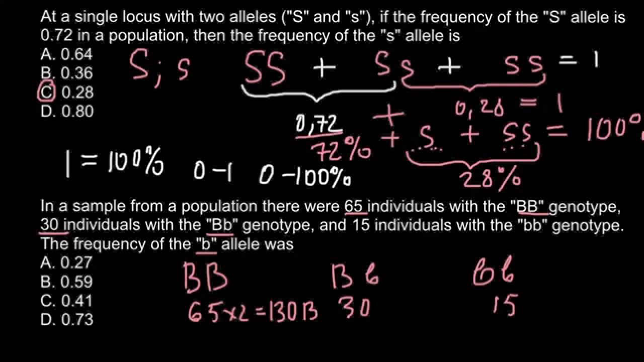 How to calculate allele frequency