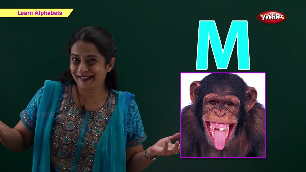 Pre School Lessons | LKG Lessons | Pebbles Kids Learning