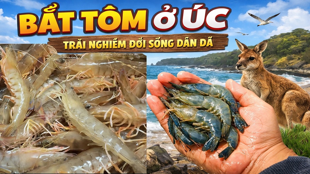 Bắt Tôm Ở Úc | Trải Nghiệm Đời Sống Dân Dã