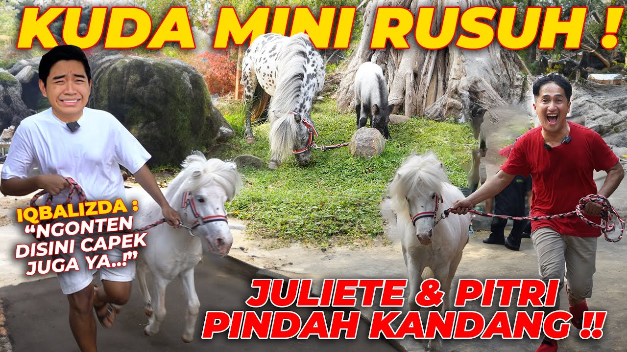 I..I..INI PARAH NIH..!! N4PSU CHARLIE BIKIN JULIETE HARUS PINDAH KANDANG..!!