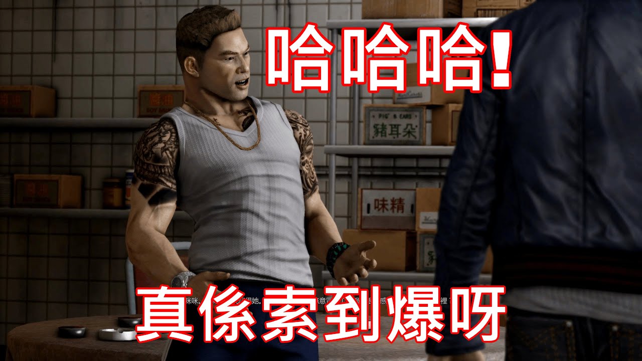 Sleeping Dogs搞笑廣東話大整合
