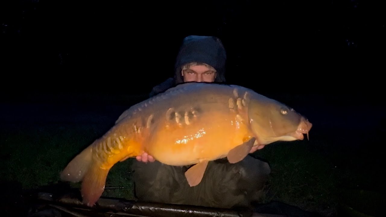 Barden Lake, January Carp Fishing, Mainline Cell.