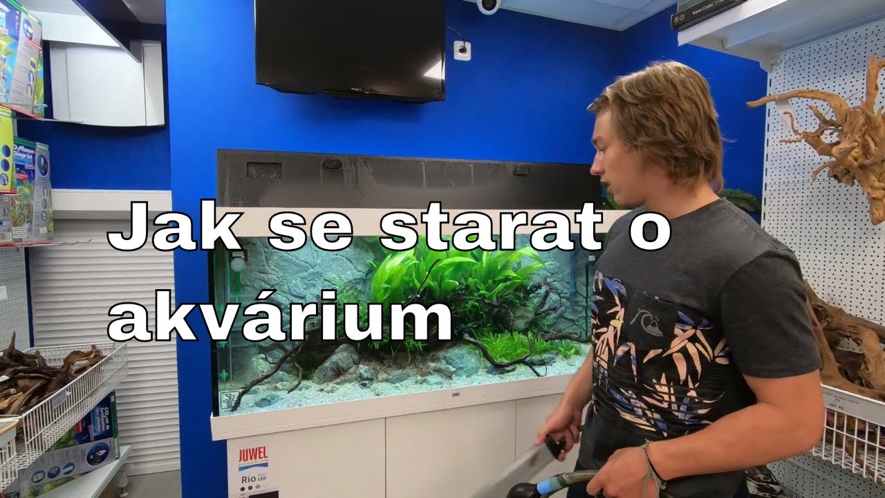 Juwel Akvarium - Údržba akvária Juwel Rio 450