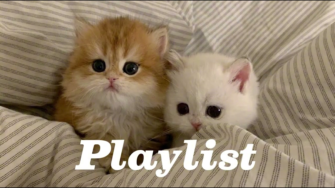 사랑하기 딱 좋은 날씨네 감성힙합 R&B 플리 |  Playlist💗