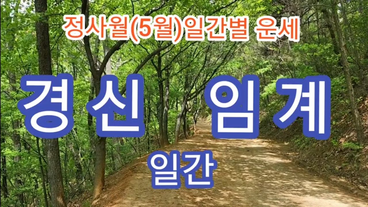 5월(정사월)경. 신. 임. 계~월운세