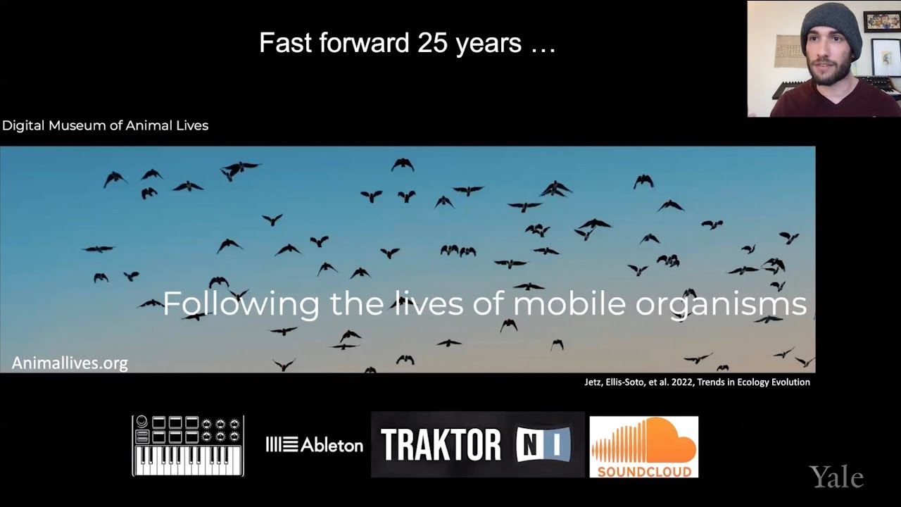 Collective Pulse: Uncovering Hidden Lives of Animals through Music Theory & Artificial Intelligence