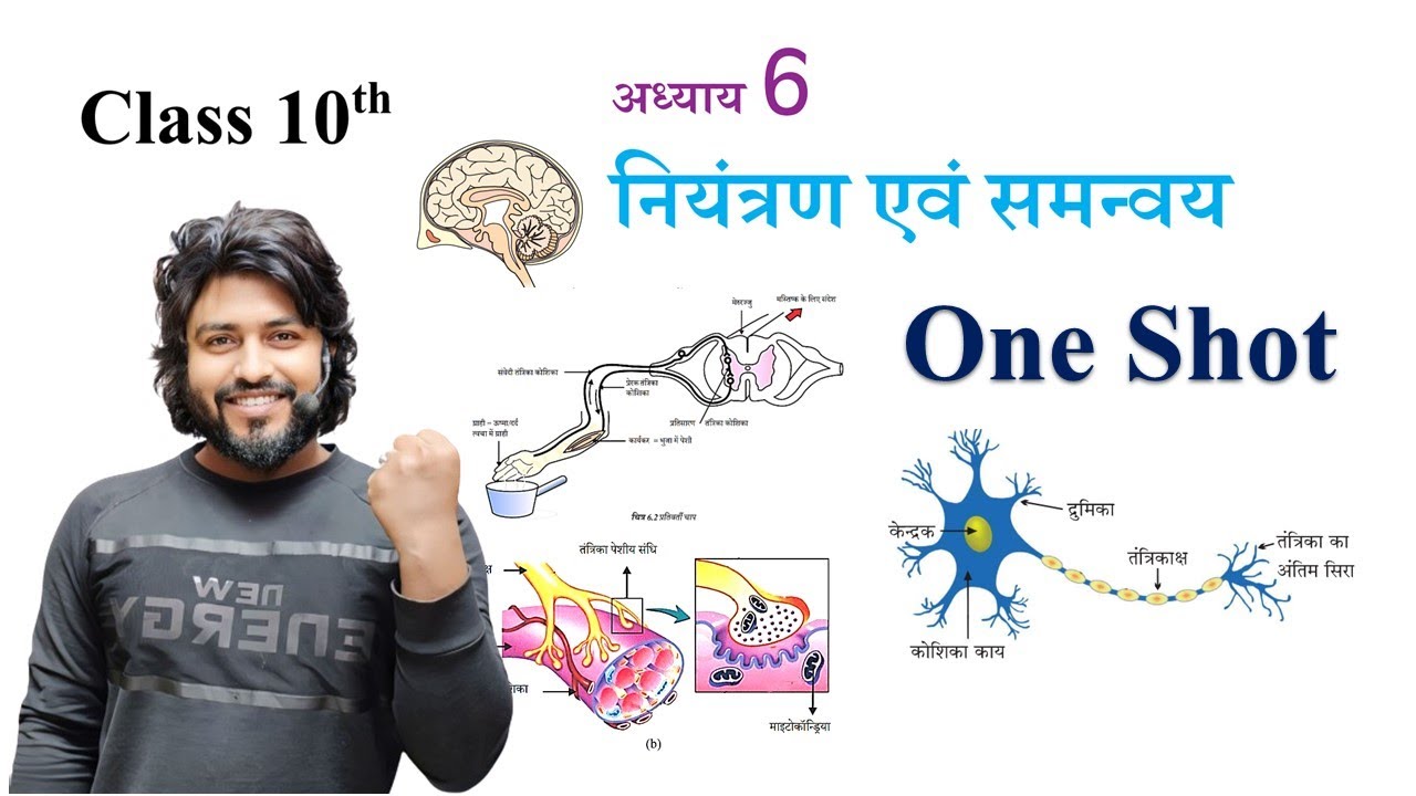 niyantran evam samanvay class 10 one shot||नियंत्रण एवं समन्वय कक्षा 10 |10th science by arryan sir