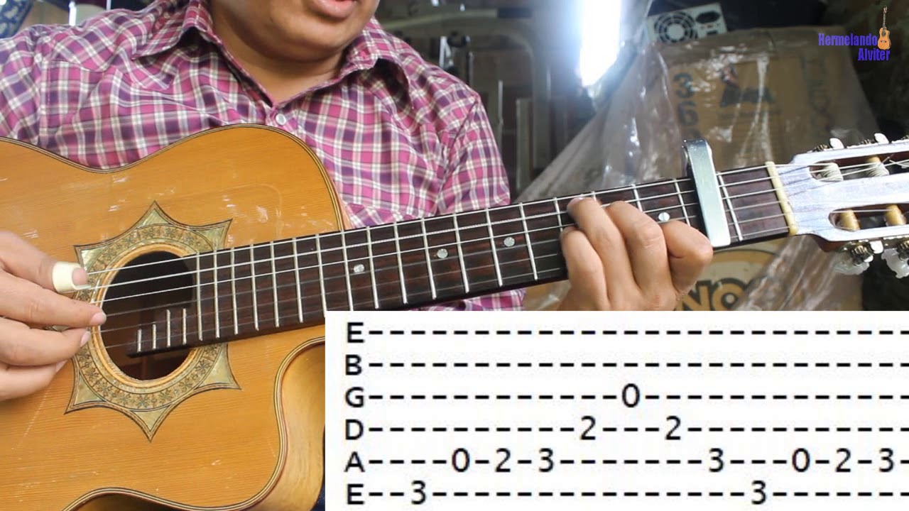 La Elenita - Armadillos de la Sierra - Requinto tutorial con tablaturas - Paso a paso con Hermelando