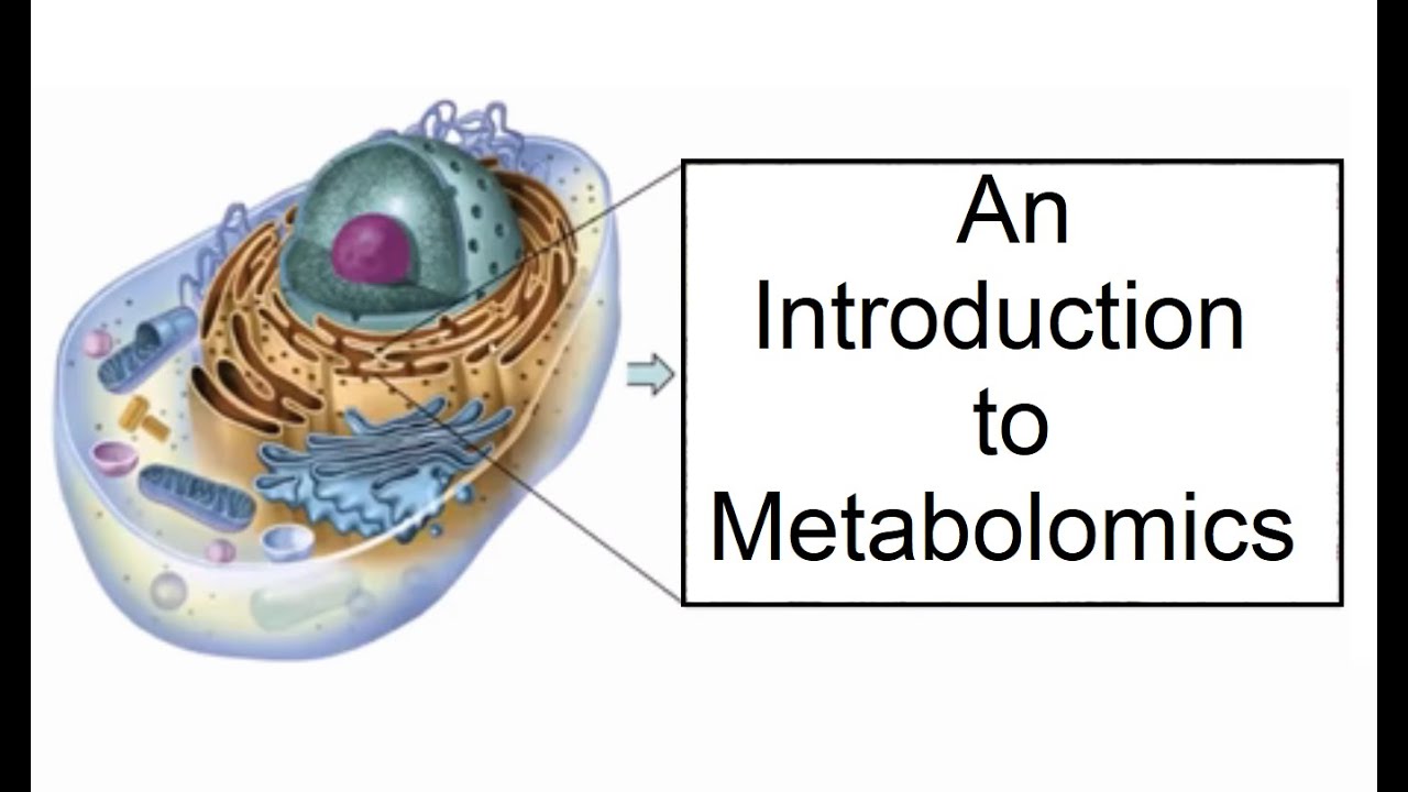 12  An Introduction to Metabolomics