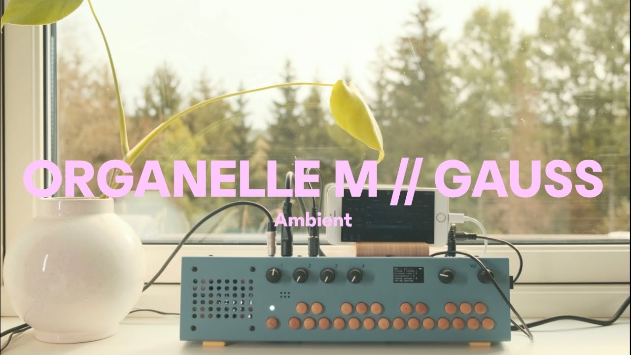 Organelle M // Gauss // Ambient