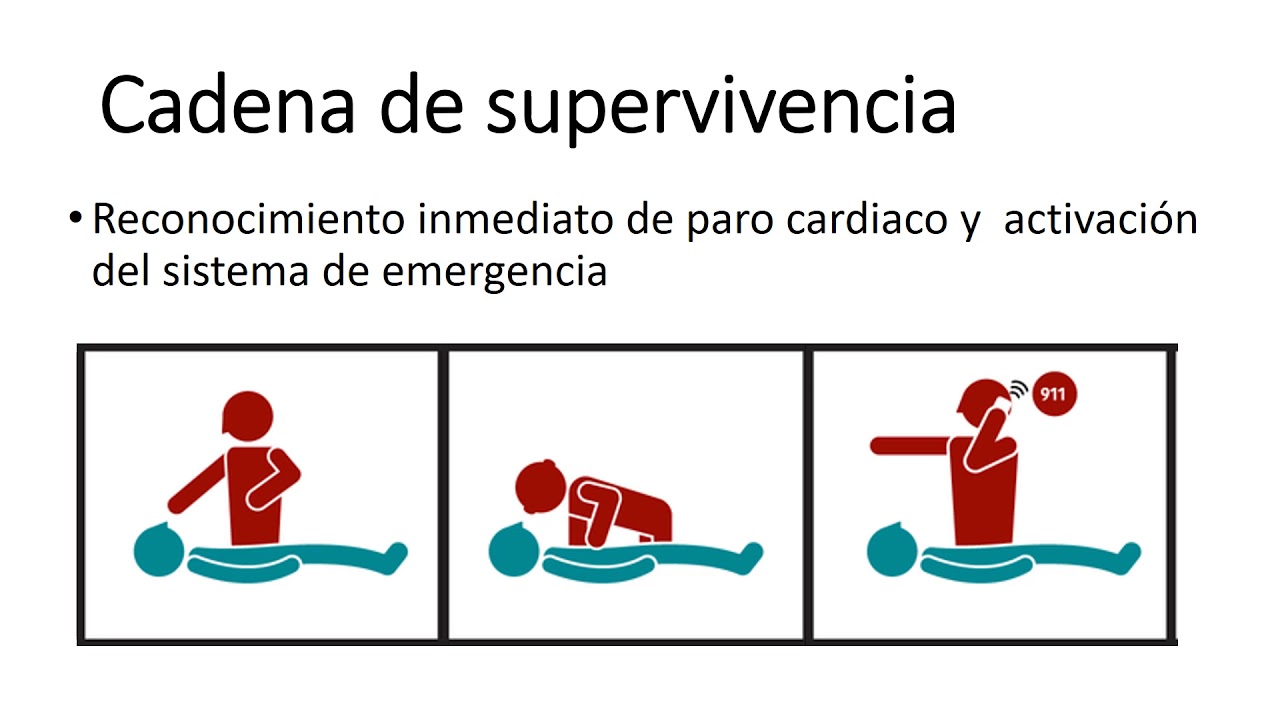 Clase 2 APH Reanimación cardiopulmonar básica