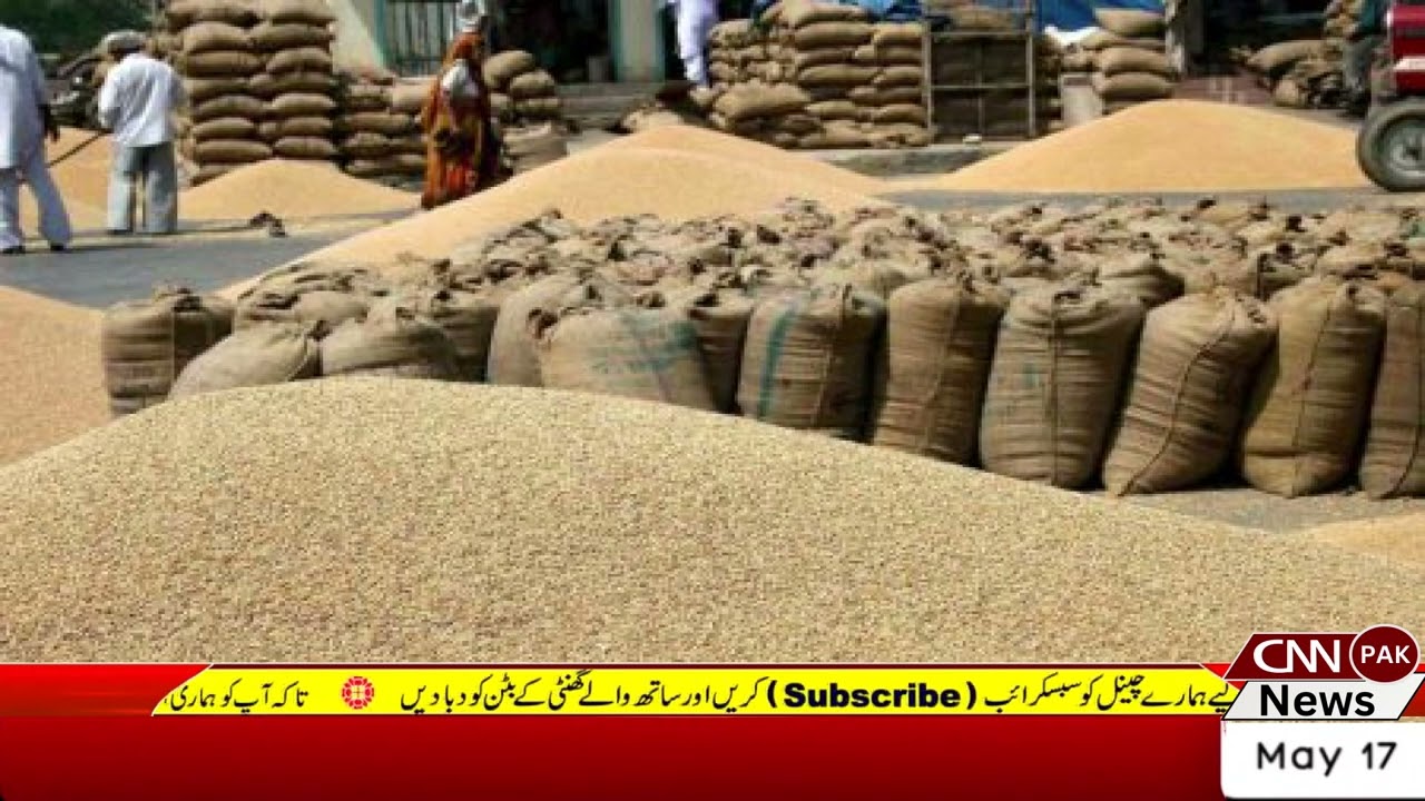 Government considering importing wheat | CNN PAK News & Stories #cnnpaknews