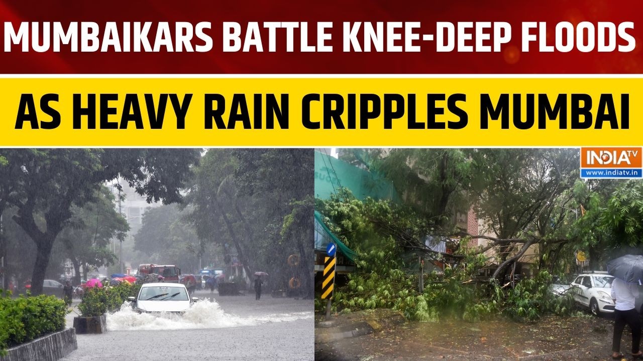 Mumbai Rain: Knee-Deep Floods Cripple City; CST Station Waterlogged Amid Relentless Downpour