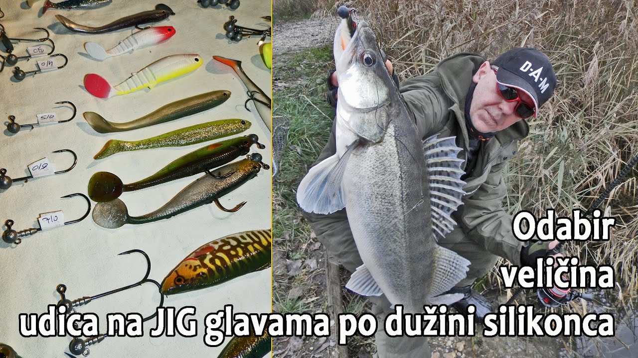 Koja VELIČINA UDICA na JIG glavi odgovara DUŽINI SHAD varalica (ŠED GUMA) / VSP_Igor Pavičić