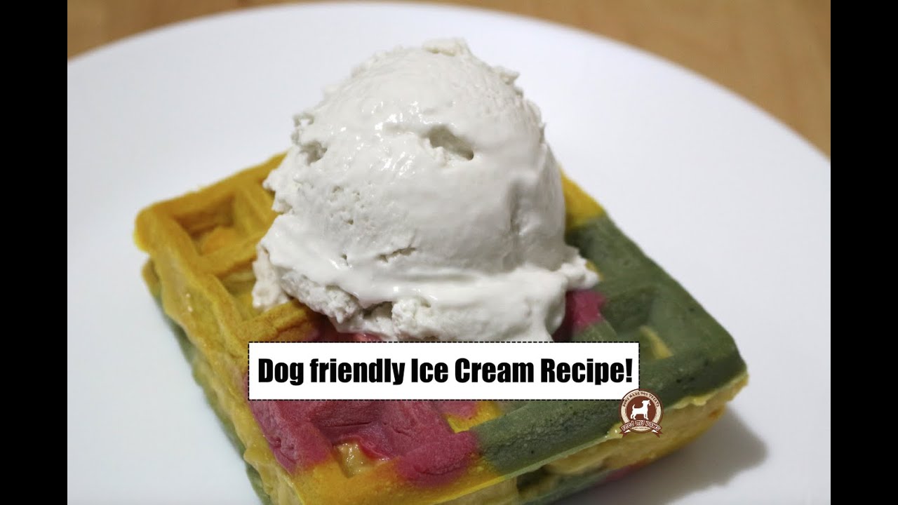 DOG-FRIENDLY ICE CREAM RECIPE